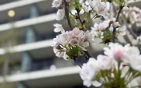 Japandi Studio Apartment, Free Parking
